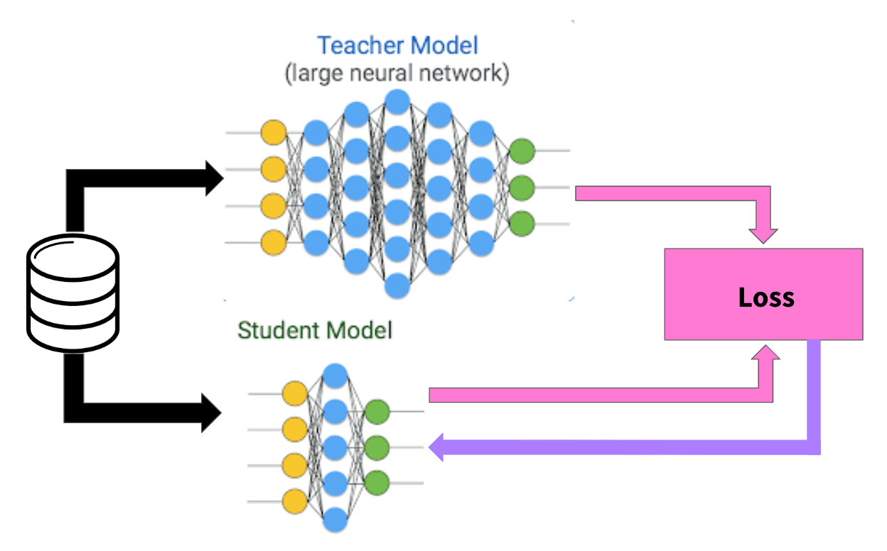 Deep Learning : du perceptron à la distillation
